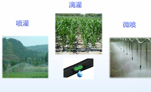 新鼎科技智能水肥一体化系统破解渗灌技术难题，推动现代农业节水增效