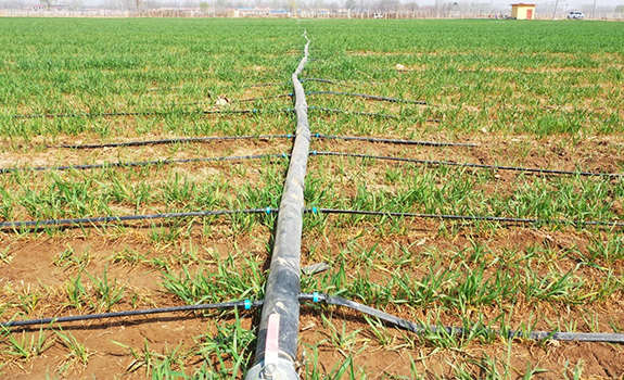 水肥一体机引领小麦播种技术革新 助力农业生产高质量发展