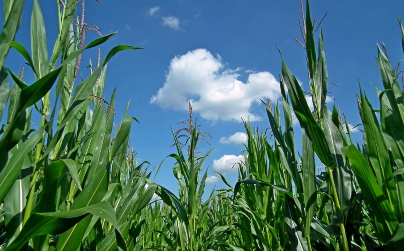 1762563477191363.png 微信图片_2025-09-17_093634_414.png