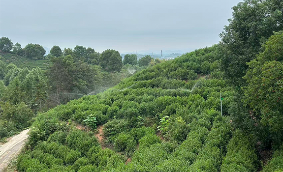 水肥一体机上山，破解山地农业“老大难”