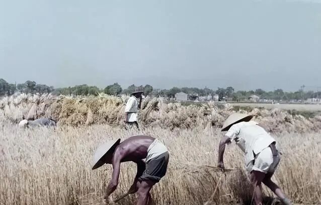 新中国灌溉事业奠基：1949-1959，从战后残破到灌溉体系初步形成