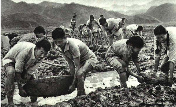 中国农业灌溉的六十年代：大规模建设与体系成型