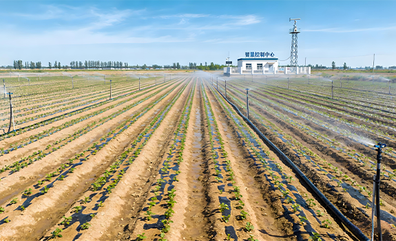 中国农业灌溉发展的历史演进与探索：2000-2024年高效智能灌溉的转型与突破