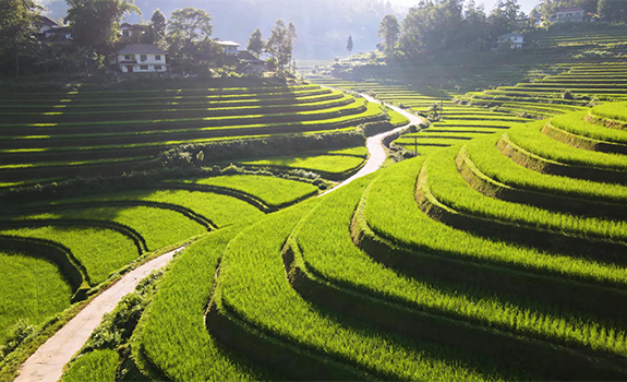 筑牢农耕根基，赋能乡村振兴——一文读懂高标准农田建设的时代价值