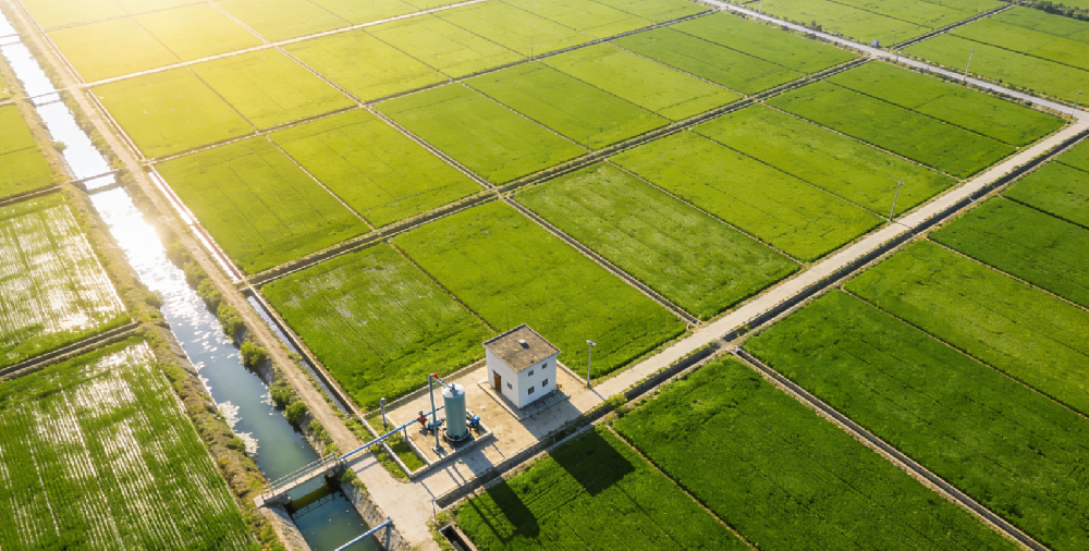 1774506681185325.png image.png