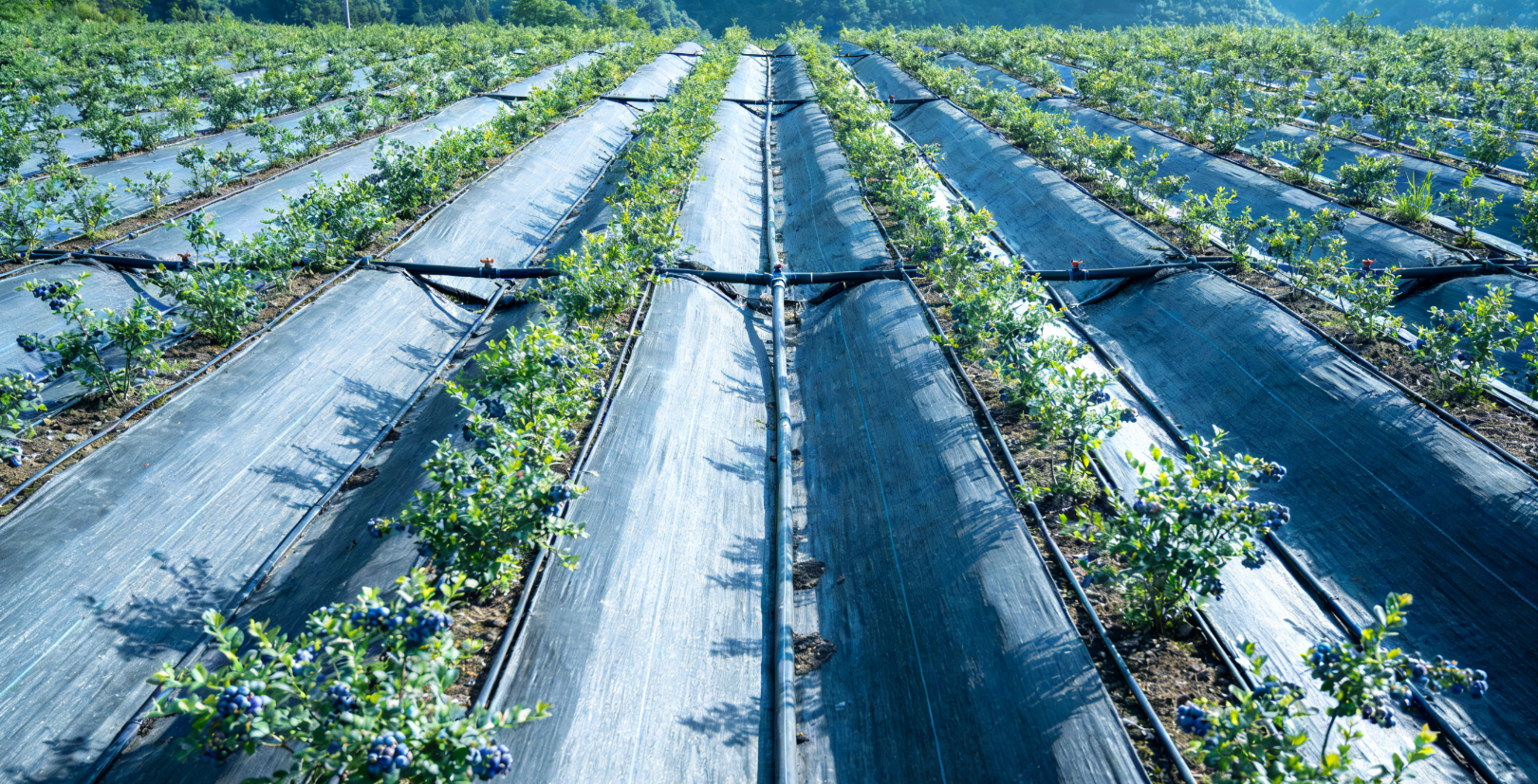 1774920327134545.png 10835dfbc7b827353b25d9959558be08.png